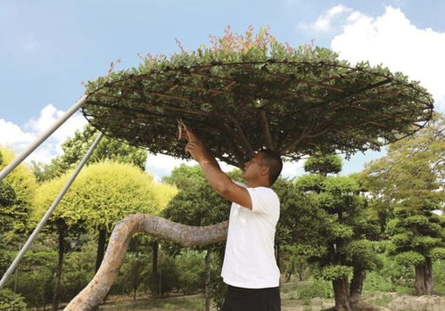 退伍軍人錢星星 褪下戎裝種新綠，帶動農戶共致富