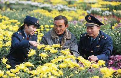 譙城工商積極引導(dǎo)農(nóng)民轉(zhuǎn)型，花木種植經(jīng)營(yíng)成致富新路徑